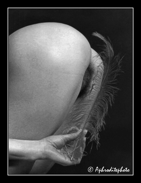 119 Hommage à Ralph Gibson